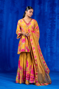 Khushnaz In Our Faarsi Gharara Set