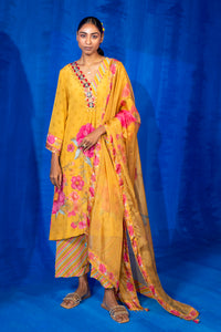 Aisha Kurta Set