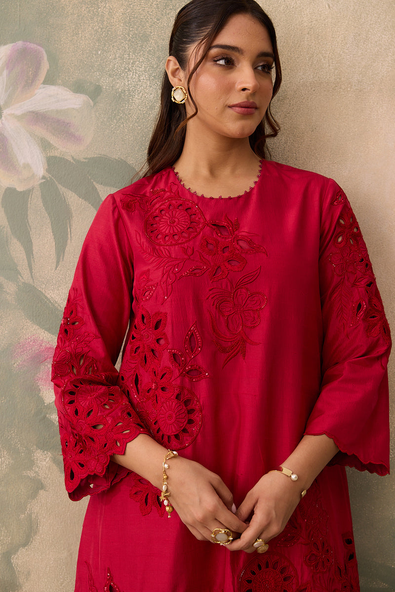 Dilruba Co-ord Set