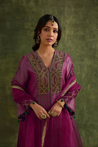 Hasrat Pink Kalidar Suit Set