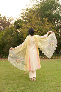 Lemon Beige Embroidered Colour Block Organza Dupatta
