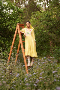 Buttercup dress/kurta set