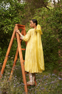 Buttercup dress/kurta set